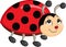 Color kawaii drawing of a little ladybug for children`s book