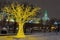 The color light installations of tree near Red Squre in winter evening