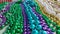 Color of Mardi Gras Metallic Beads