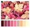 Color matching palette with complimentary colour swatches