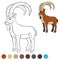 Color me: ibex. Cute ibex with great horns.