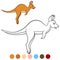 Color me: kangaroo. Little cute baby kangaroo runs.