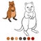 Color me: quokka. Little cute quokka smiles