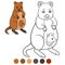 Color me: quokka. Mother quokka with her little cute baby