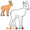 Color me: urial. Little cute baby urial smiles