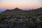 Color Of Morning Light Fills The Sky Over Cactus Hillside