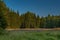 Color morning meadows and forests near Stozec village in summer