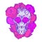 Color neon illustration of a sugar skull with roses. The holiday of the Day of the Dead.