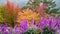 Color pallet vivid flowers