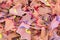 Color pencil shaves background. Colorful pencil shavings in close-up. Pencils shavings wallpaper