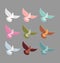 Color pigeons. Set of colorful flying birds. Dove Soars with win