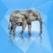 Color polygonal elephant isolated on blue background. Vector illustration