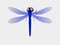 Color, realistic vector illustration of a dragonfly with transparent wings.