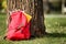 Color rucksack with school stationery on ground outdoors