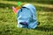 Color rucksack with school stationery on ground outdoors