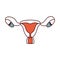 Color sections simple contour female reproductive system