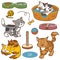 Color set of cute domestic animals and objects