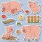 Color set of cute domestic animals and objects, vector pigs