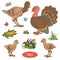 Color set of cute farm animals and objects, vector family turkey