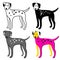 Color set of dogs on a white background. Dalmatian. Vector