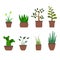 Color set with house plants icons