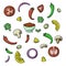 A color set of salad ingredients, pineapple slices, tomatoes and peppers, broccoli and olives, vector cartoon