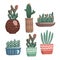 Color simple flat Illustartion of different pots with green succulent and cactus hoseplant