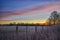 Color spectacle at a sunrise at a pasture