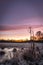 Color spectacle at a sunrise at a pasture