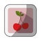 Color square with middle shadow sticker with cherry fruit