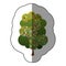 color sticker beautiful tree icon