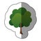 color sticker natural tree icon