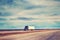 Color toned picture of American highway landscape with semi trailer truck