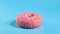 Color toppings sprinke on top of delicious pink donut on blue background. Sweet food and sugar nutrition concept.