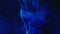 Color vapor flow phantom blue steam light bulb