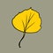 Color vector hand drawn doodle yellow aspen leaf icon.