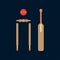 Color vector icon wooden cricket gate, ball, goal. Sport equipment success symbol. Athletic competition activity. Beater