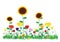 Color vector illustration of beautiful blooming flowers in the garden isolated on white background.