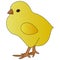 Color vector illustration of a plump chicken. Yellow ball. Chick on an isolated background. Cartoon style.