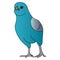 Color vector illustration â€“ a fighting bird of a budgie is ready to fight. Colorful turquoise ball.