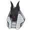 Color vector image Anubis. Isolated object.
