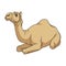 Color vector image of a camel.