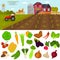 Color vegetables icons set. Farming color illustration for web and mobile design