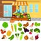 Color vegetables icons set. Vegetables shop color illustartion for web and mobile design