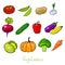 color vegetables sketches