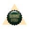 Color vintage irish pub emblem