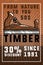 Color vintage timber banner