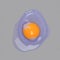 Color of the year 2022 and 2021 concept. Fresh organic chicken egg with yolk in trendy lilac color on gray background