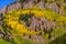 Colorado aspen autumn fall colors