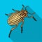 Colorado beetle, a coleopterous insect.Colorado, a harmful insect single icon in flat style vector symbol stock